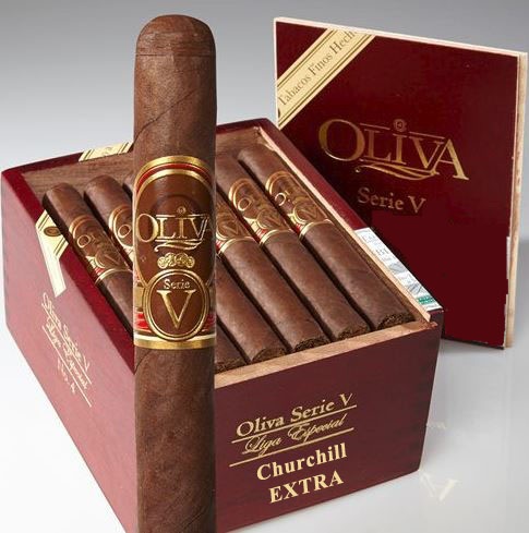 24 Ct. Oliva 'V' Churchill 'Extra'